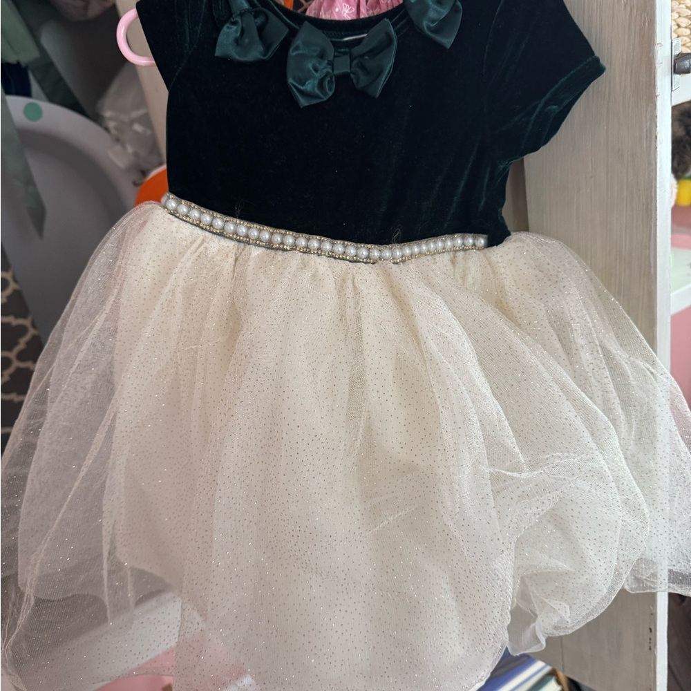 Blueberi Boulevard Velvet and Tulle Dress - Green and Cream